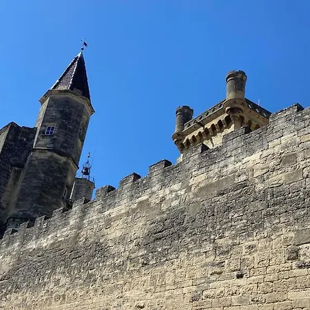 Au Pays De Gide Appart Feutre Dans Un Chateau Lussan  Exterior photo