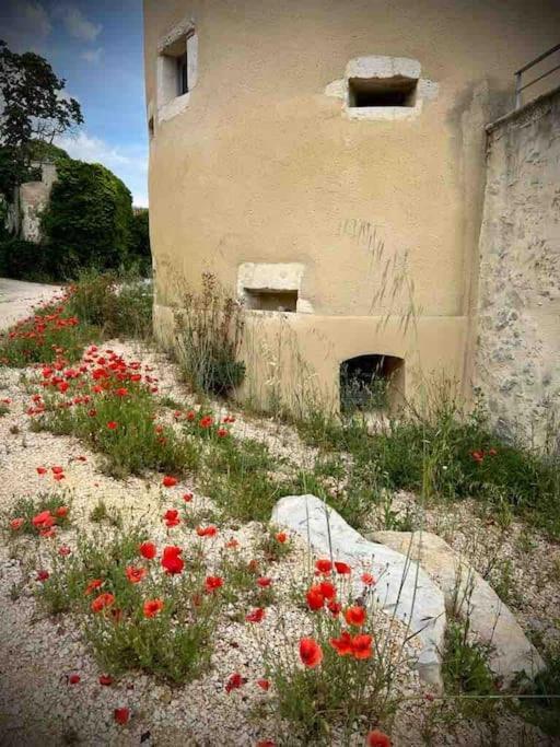 Apartment Au Pays De Gide Feutre Dans Un Chateau *