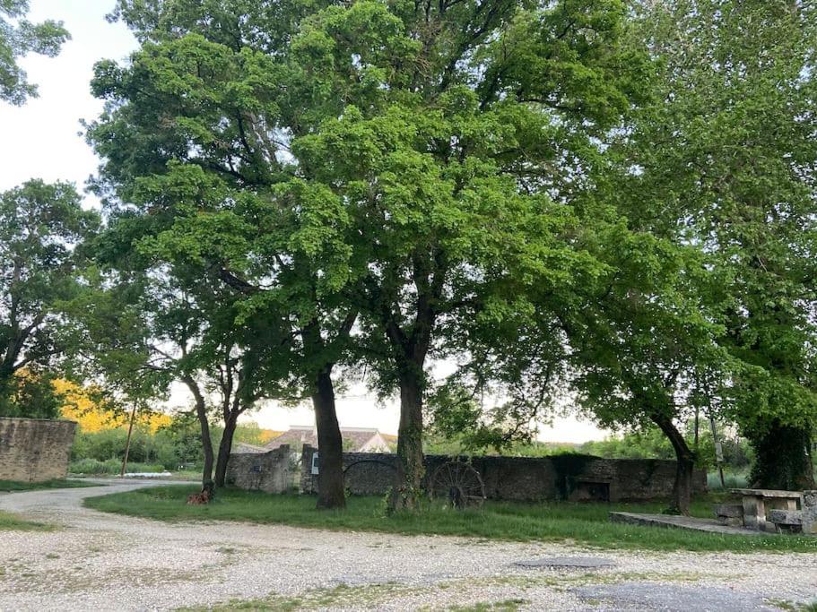 Au Pays De Gide Feutre Dans Un Chateau * Lussan (Gard)